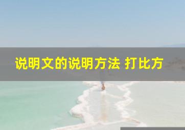 说明文的说明方法 打比方